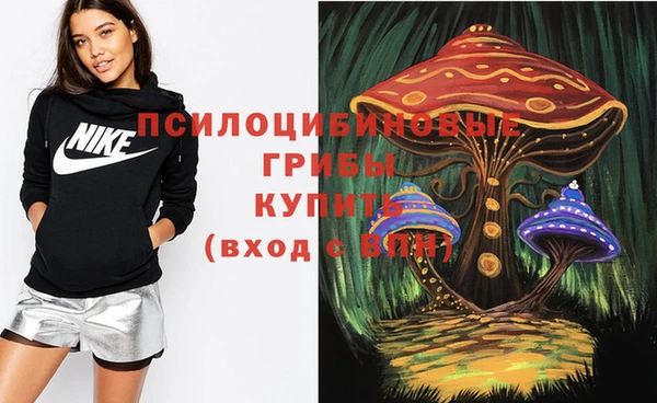 альфа пвп Киреевск