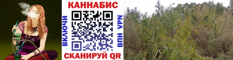 купить наркотик Кировград Канабис Bruce Banner